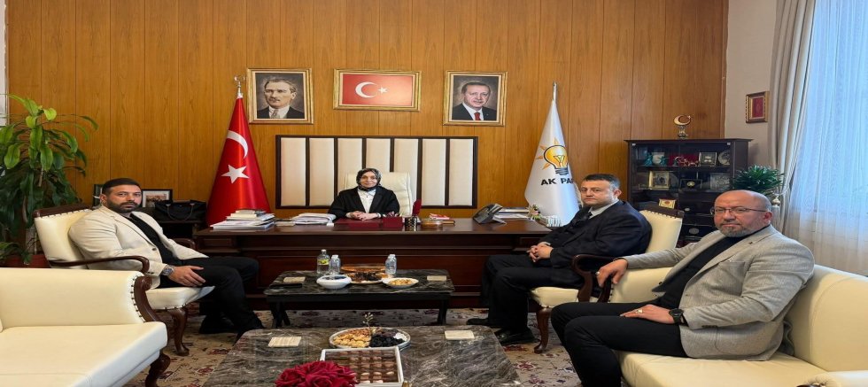 Ak Parti Adularya maden işçilerinin sorunlarını meclise taşıdı