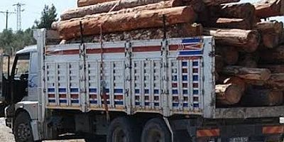 Tomruk kamyonundan düşerek yaralandı