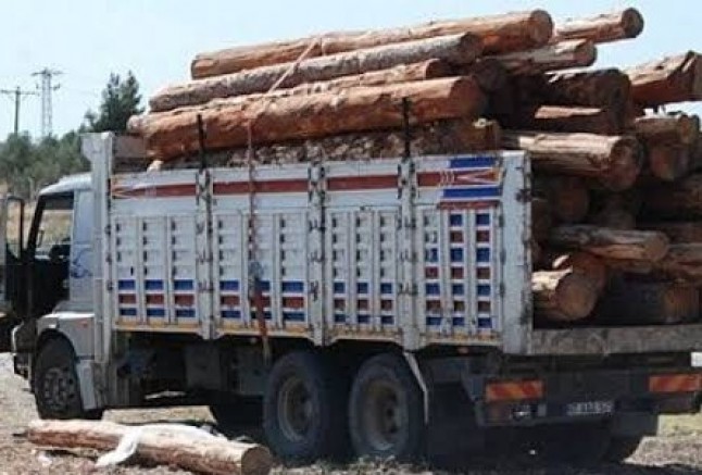 Tomruk kamyonundan düşerek yaralandı